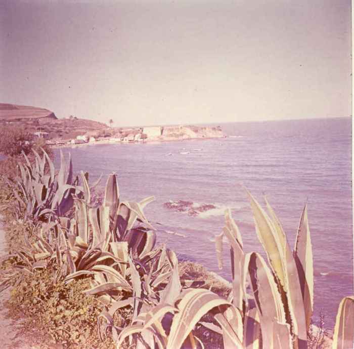 Photo Mme Belmonte